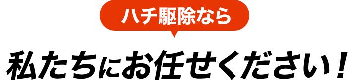 ハチ駆除なら私たちにお任せください!